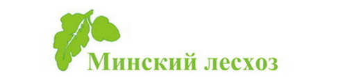 Минский